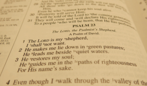 psalms